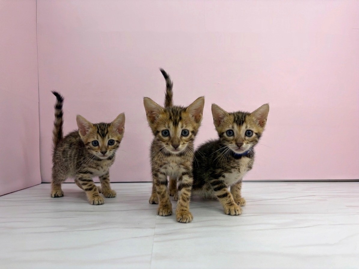 赤ちゃん写真1-3