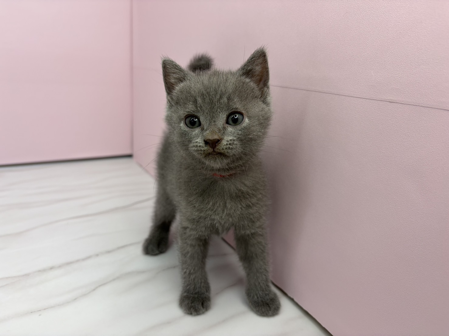 赤ちゃん写真2-1