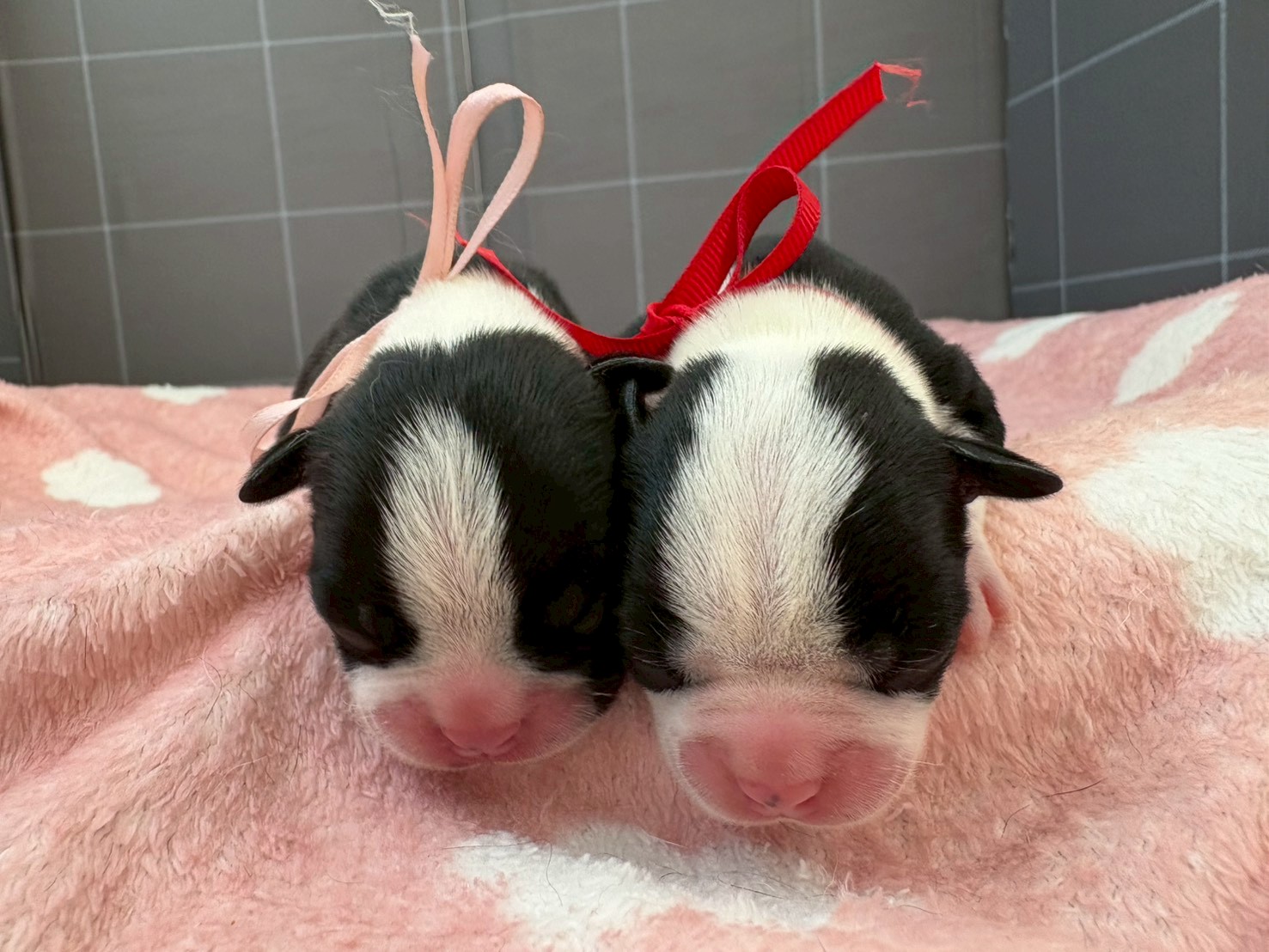 赤ちゃん写真1-3