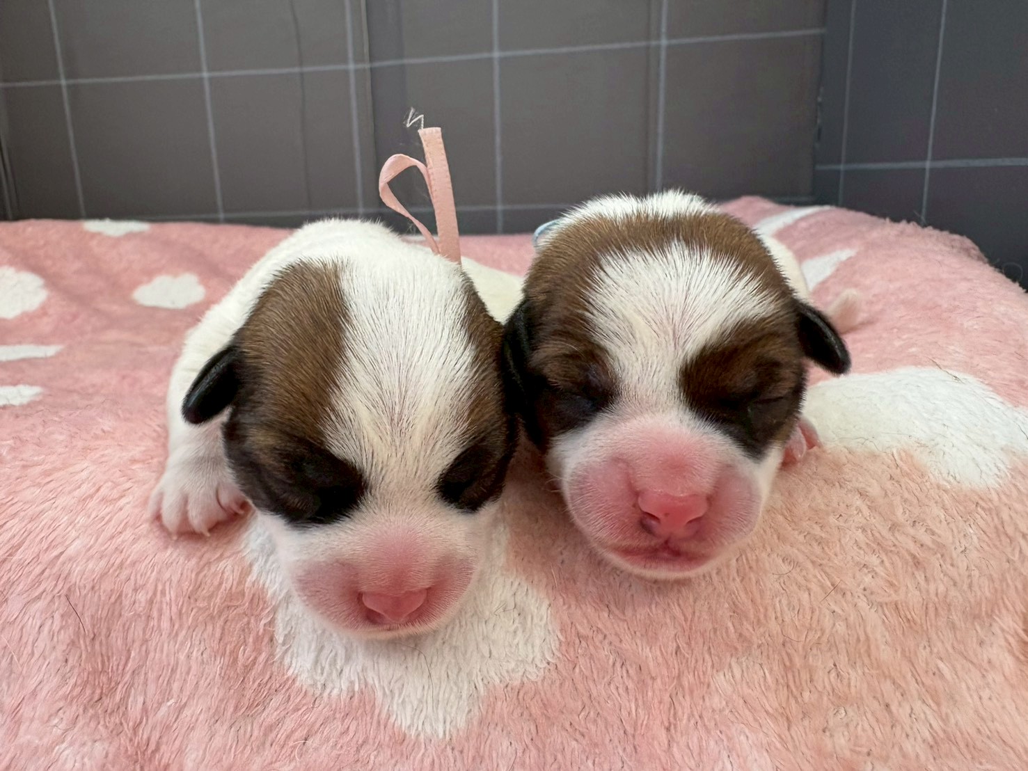赤ちゃん写真1-3