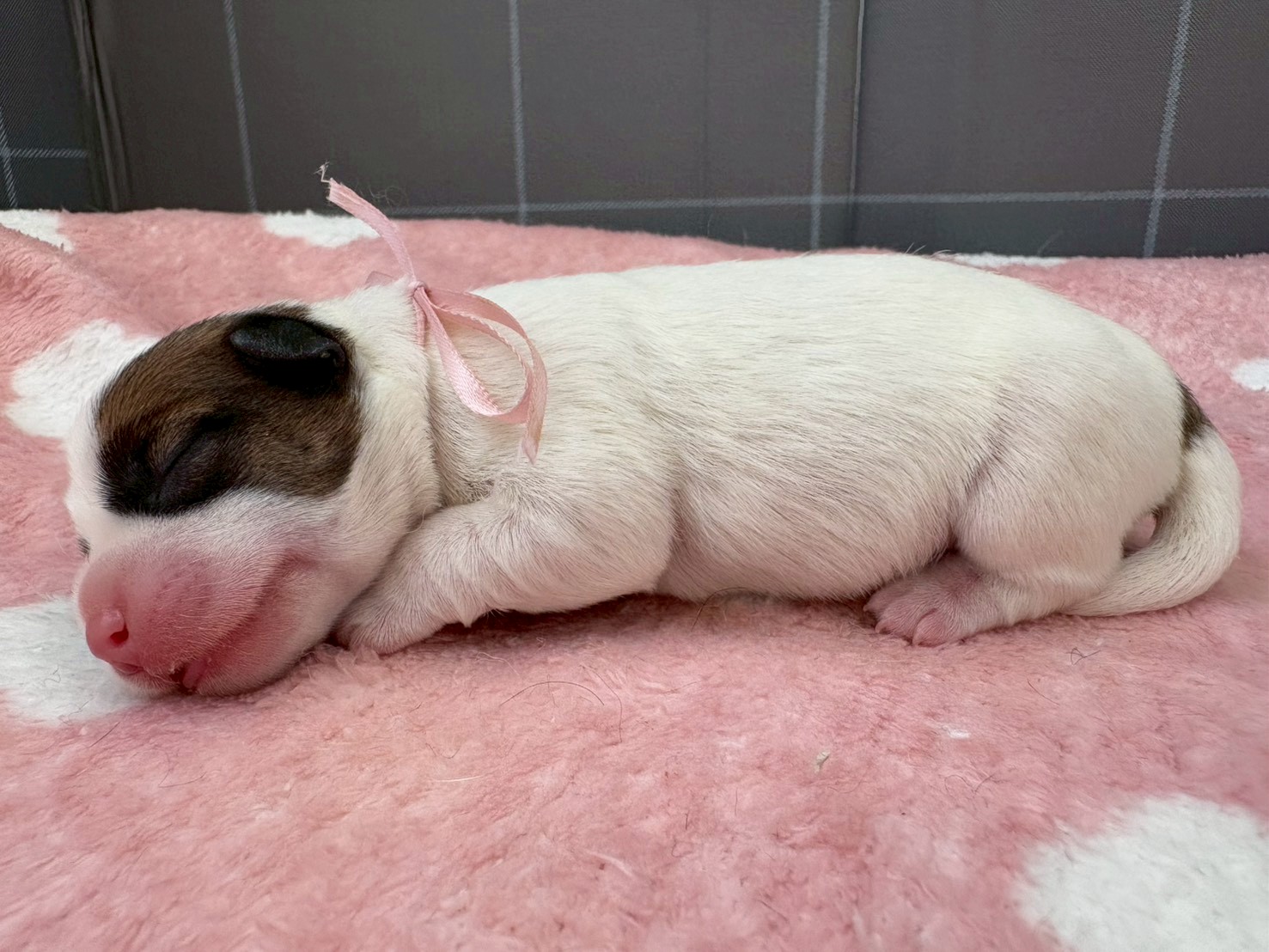 赤ちゃん写真1-2