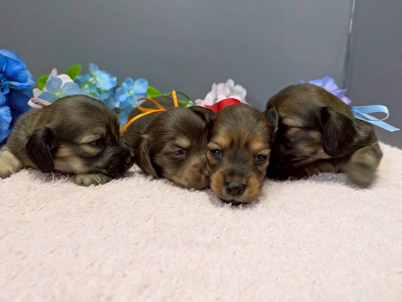 赤ちゃん写真2-3