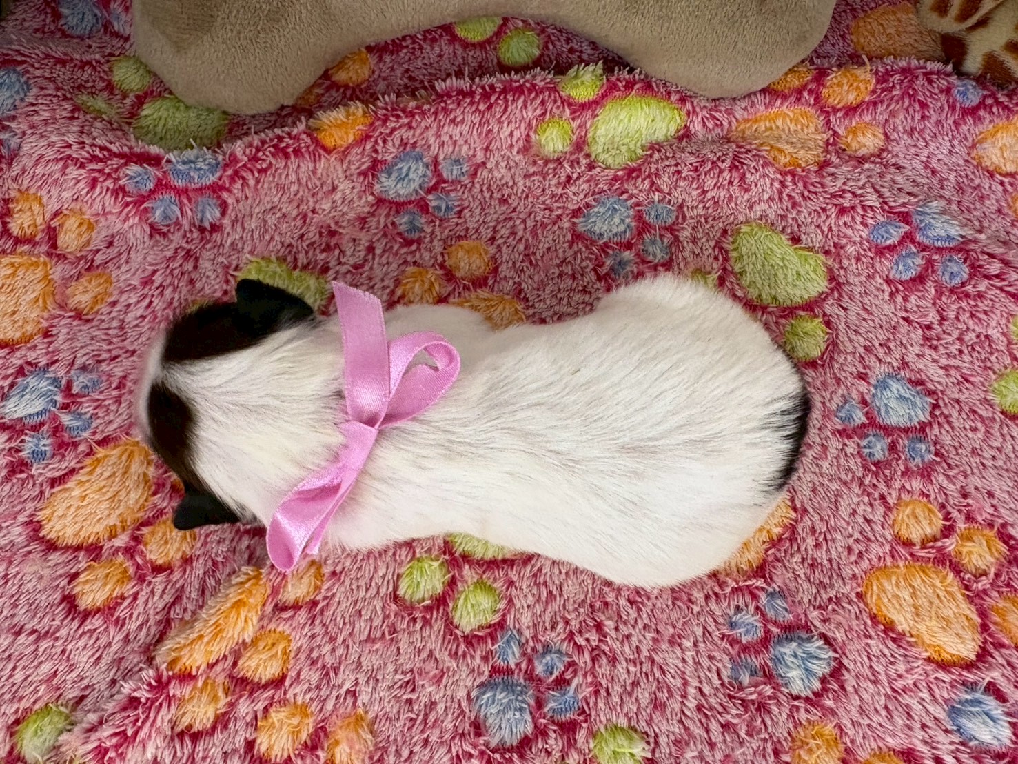 赤ちゃん写真1-3