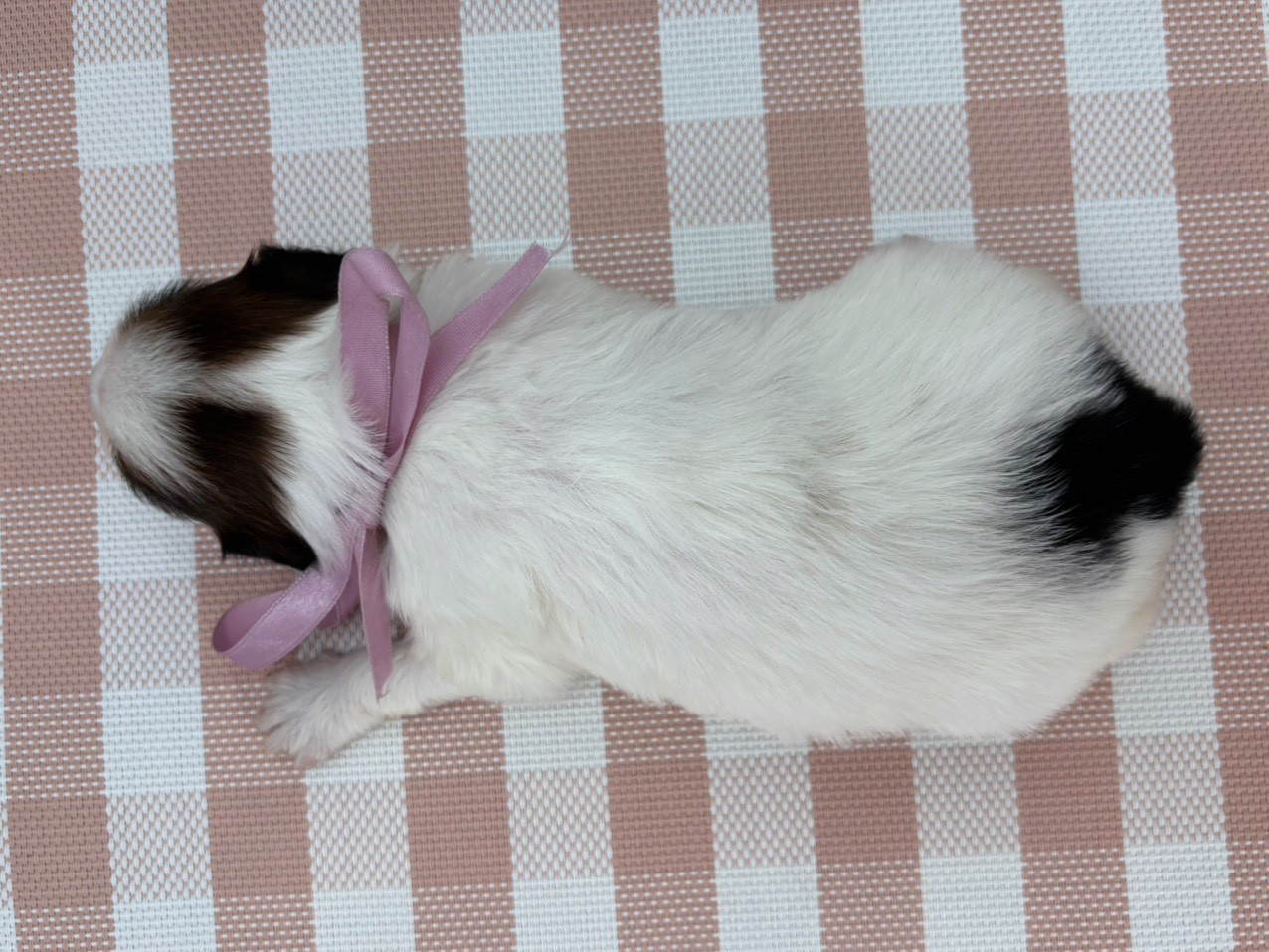 赤ちゃん写真2-3
