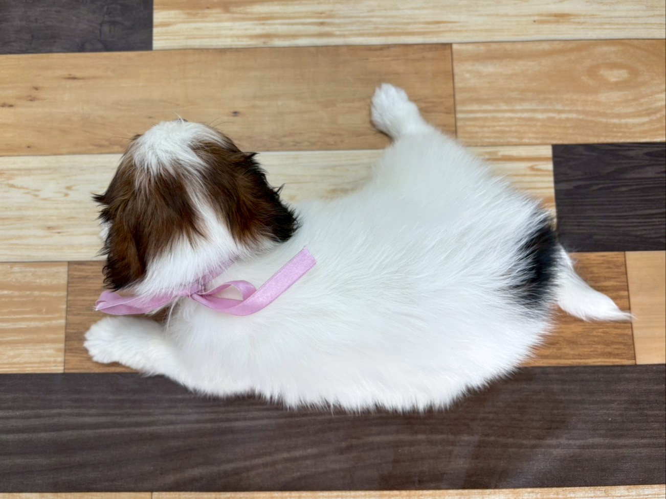 赤ちゃん写真3-3