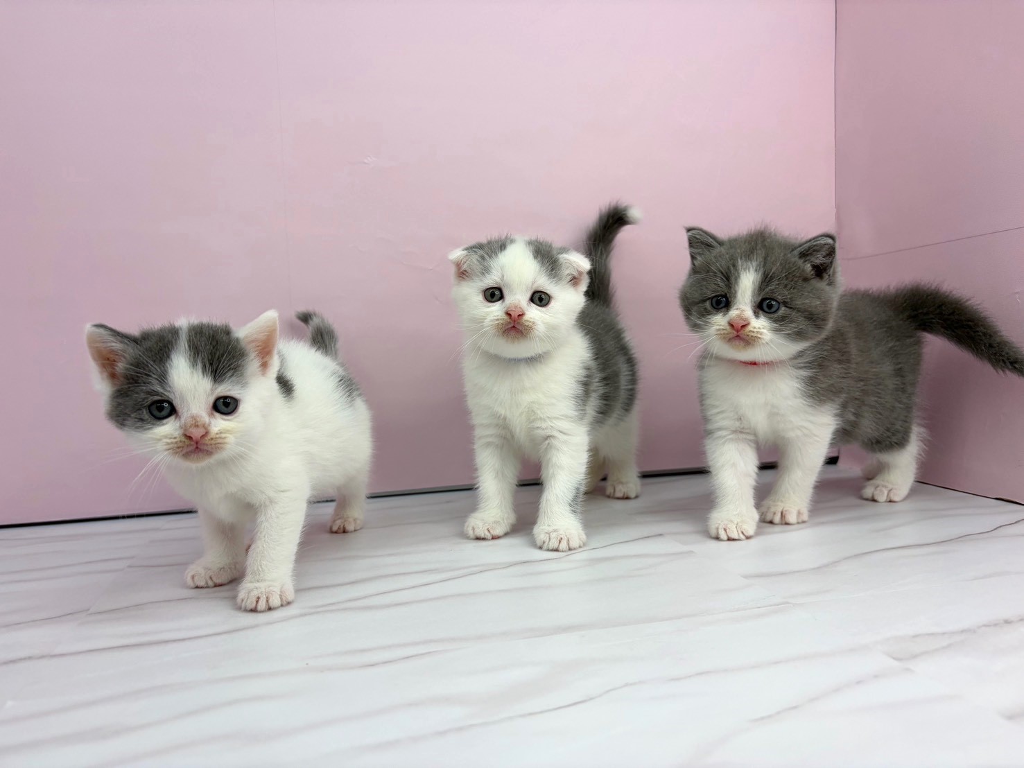 赤ちゃん写真2-3