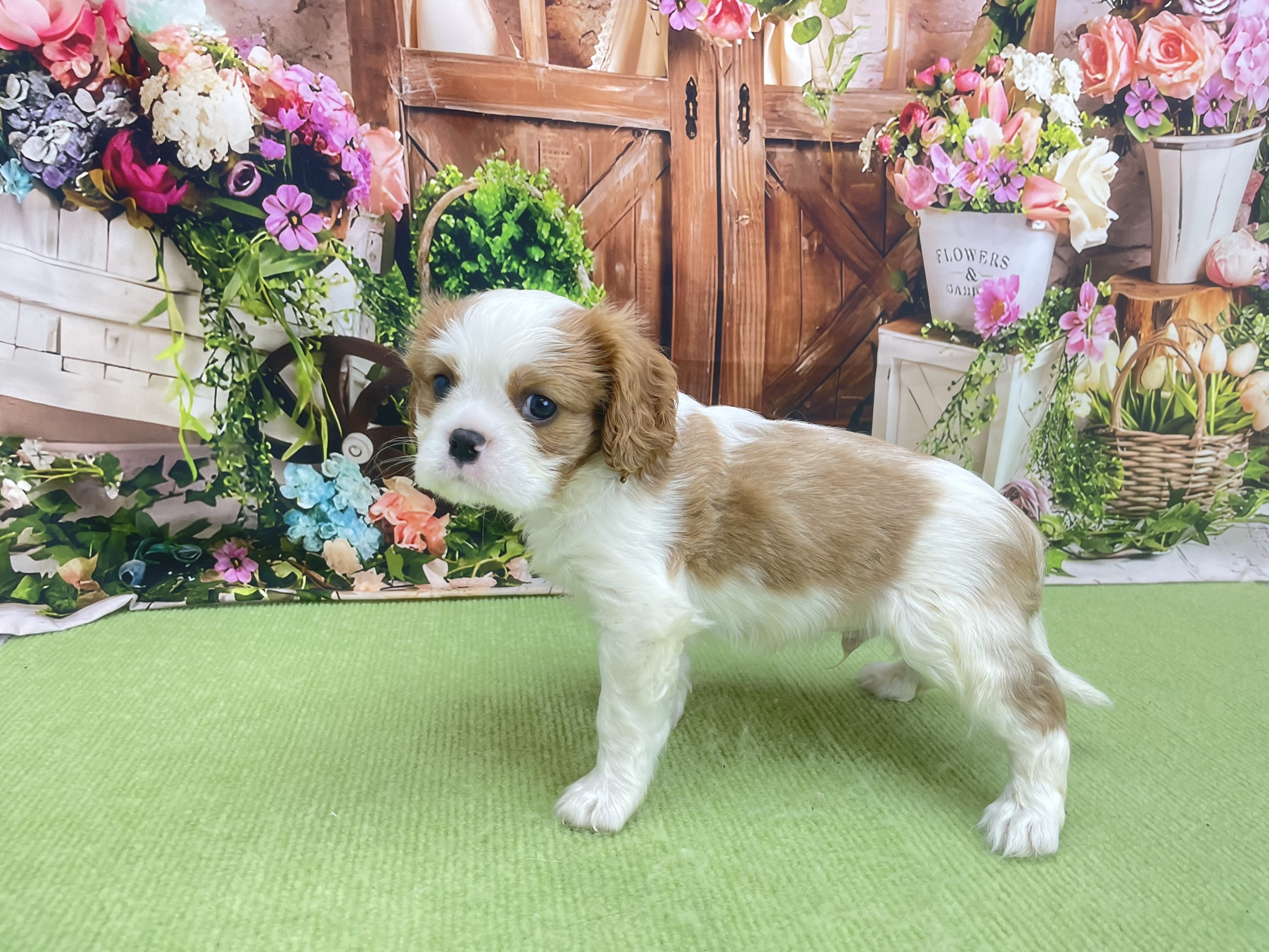 赤ちゃん写真2-2