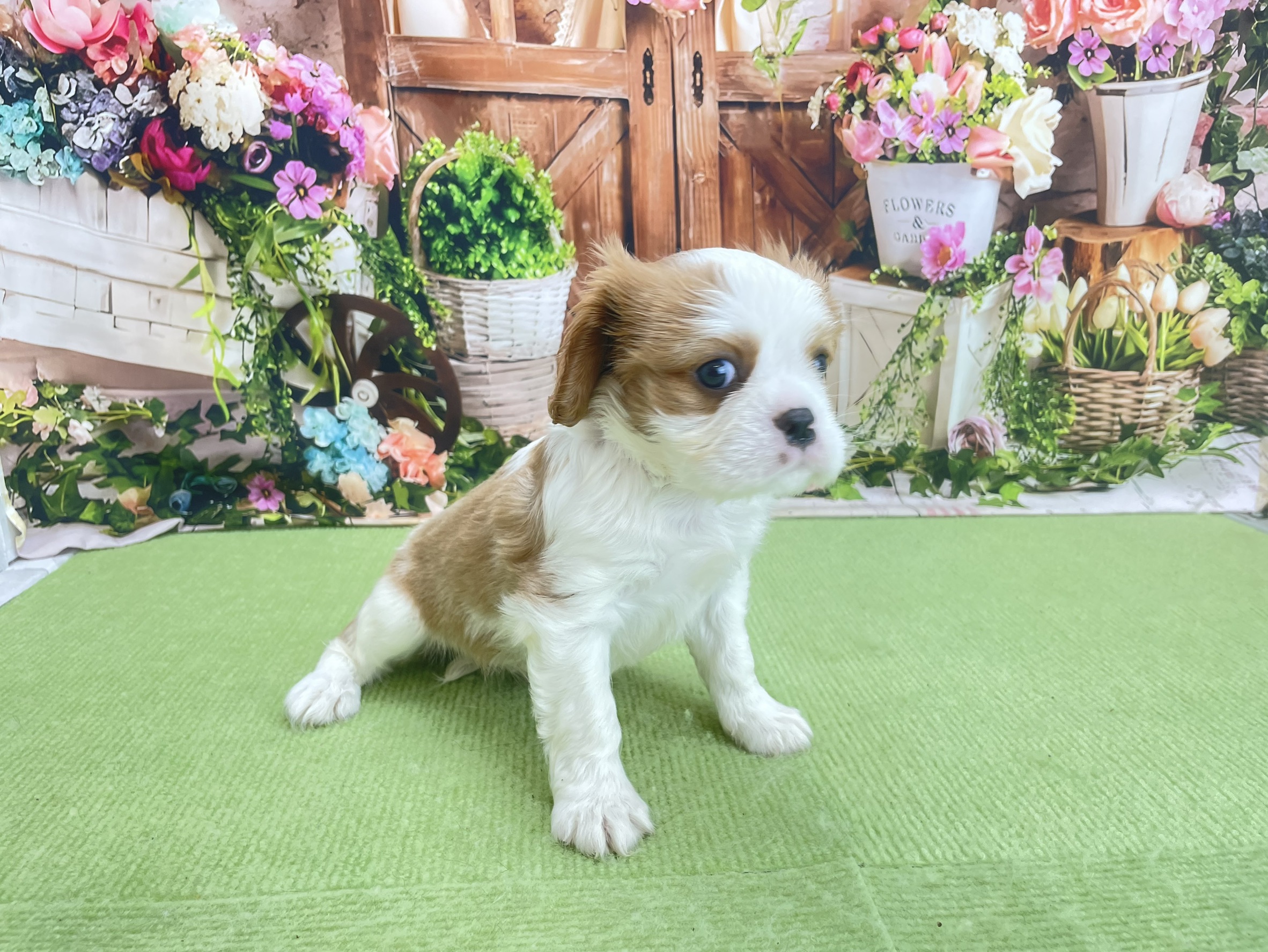 赤ちゃん写真2-3
