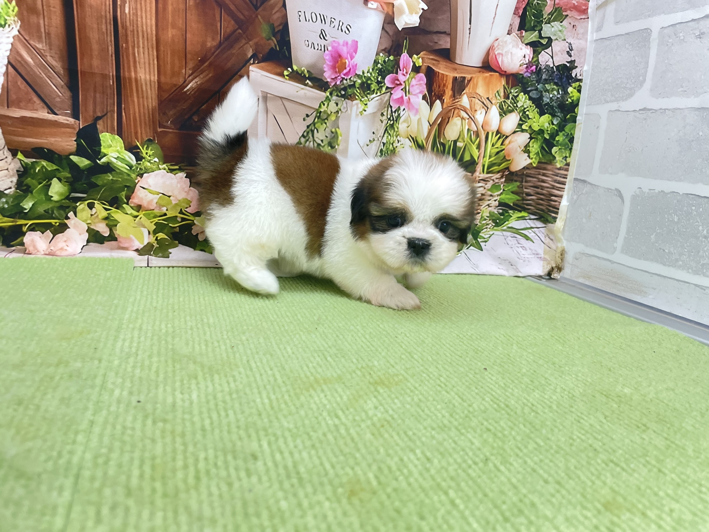 赤ちゃん写真2-2