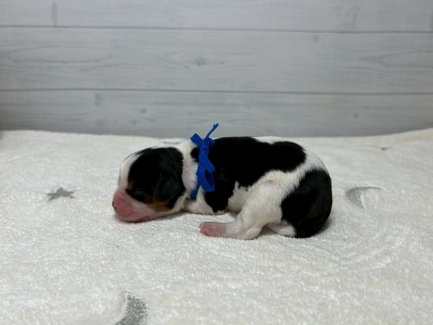 赤ちゃん写真1-2