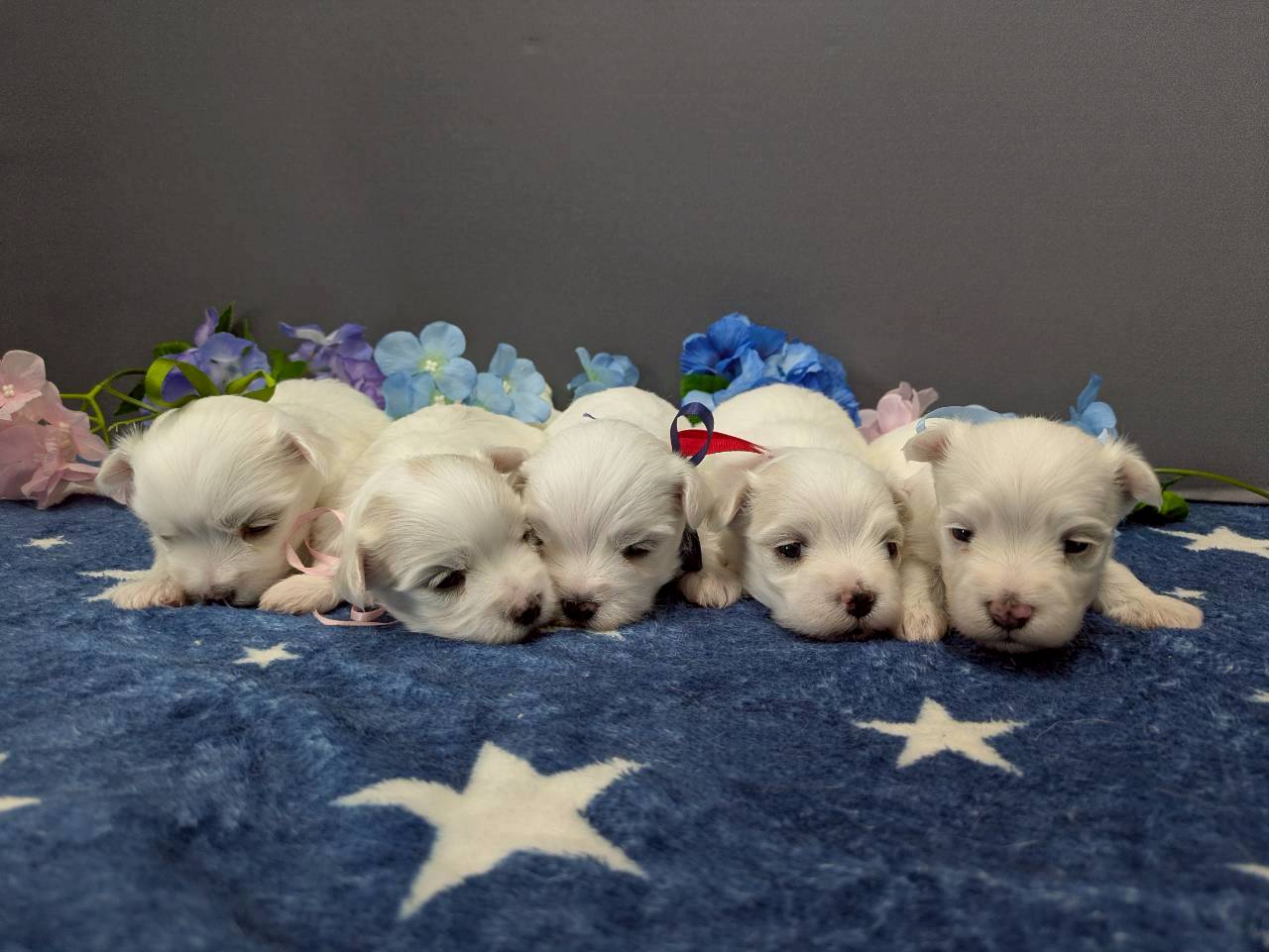 赤ちゃん写真2-3