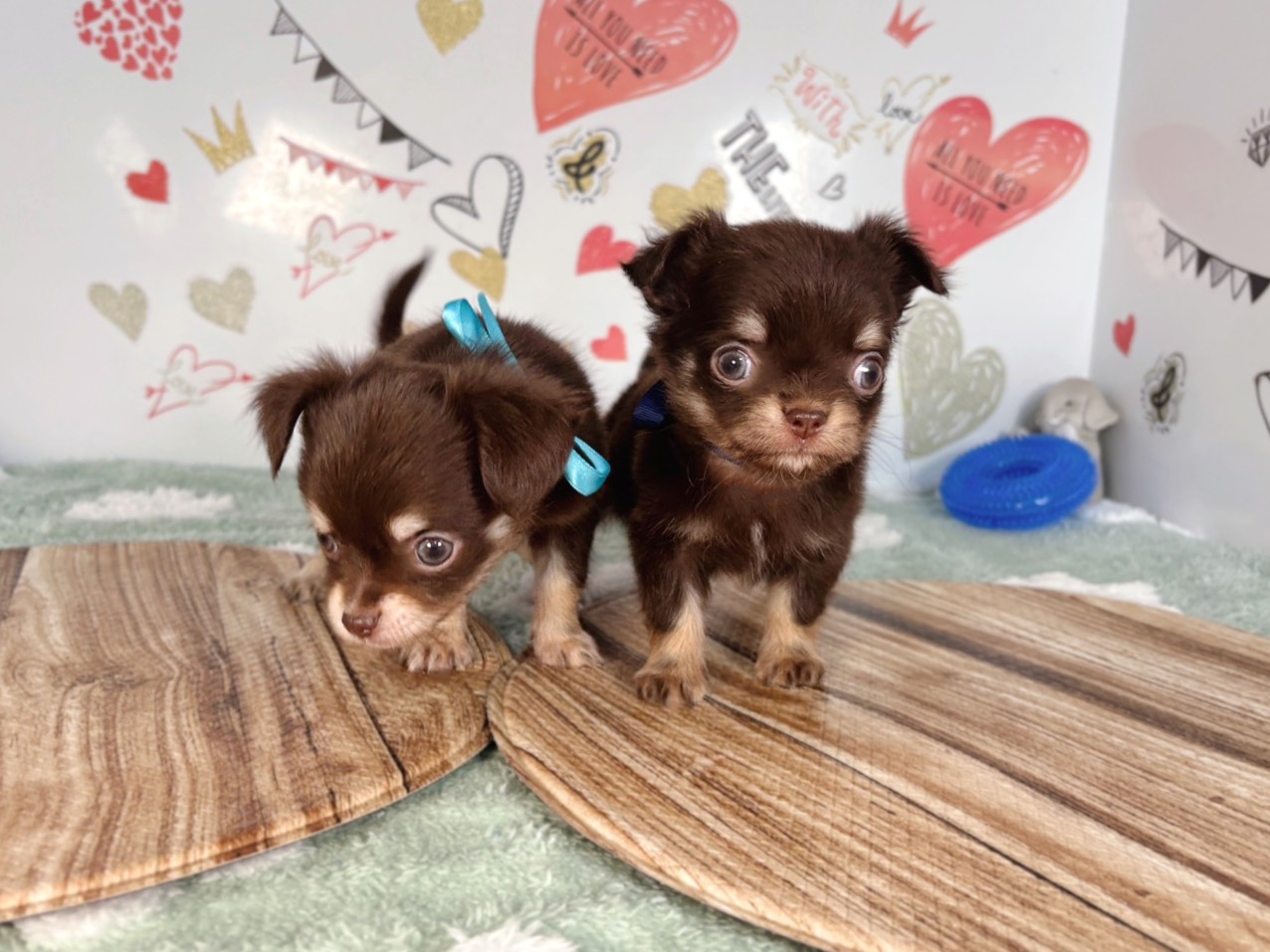赤ちゃん写真2-3