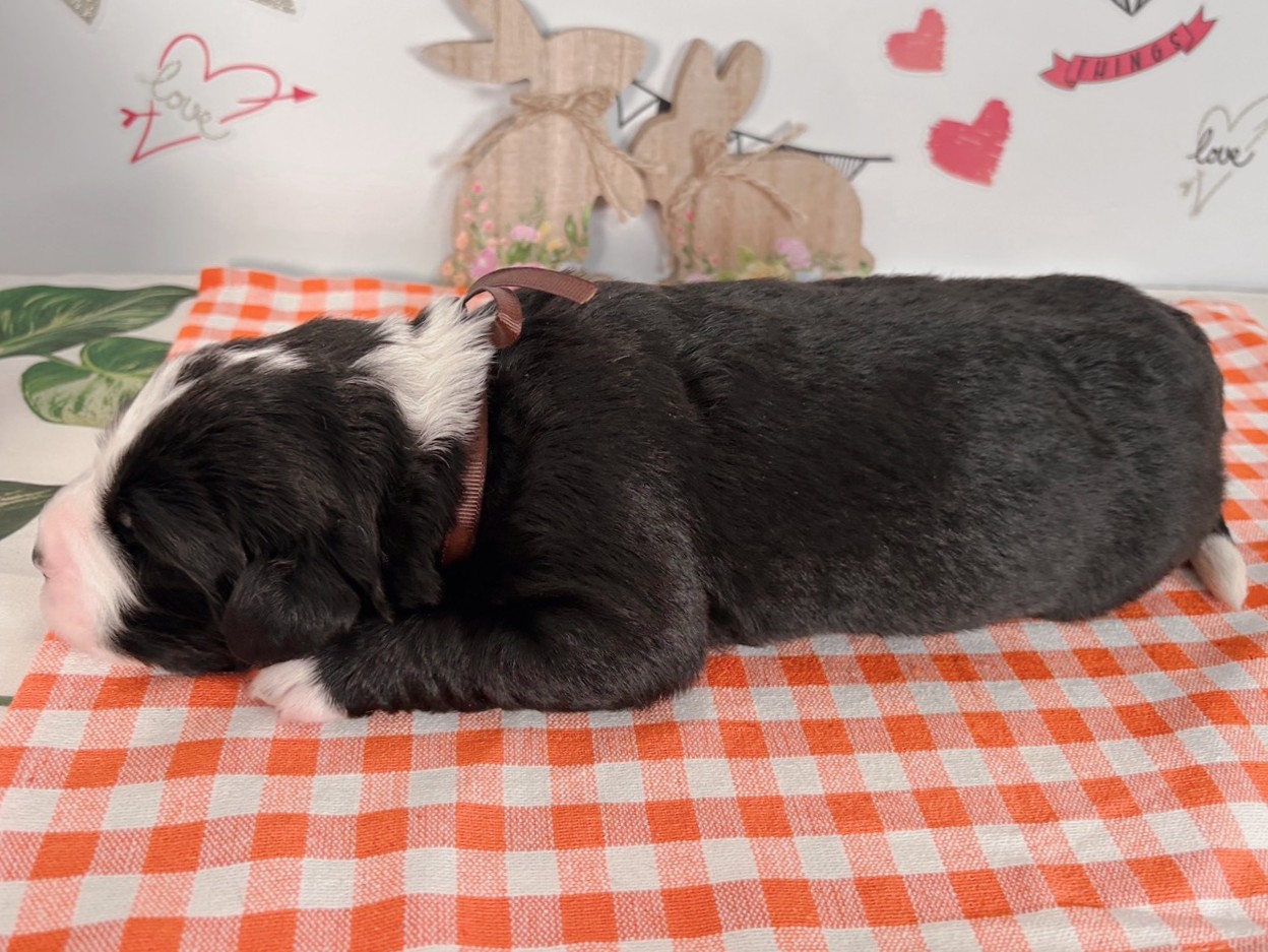赤ちゃん写真1-2