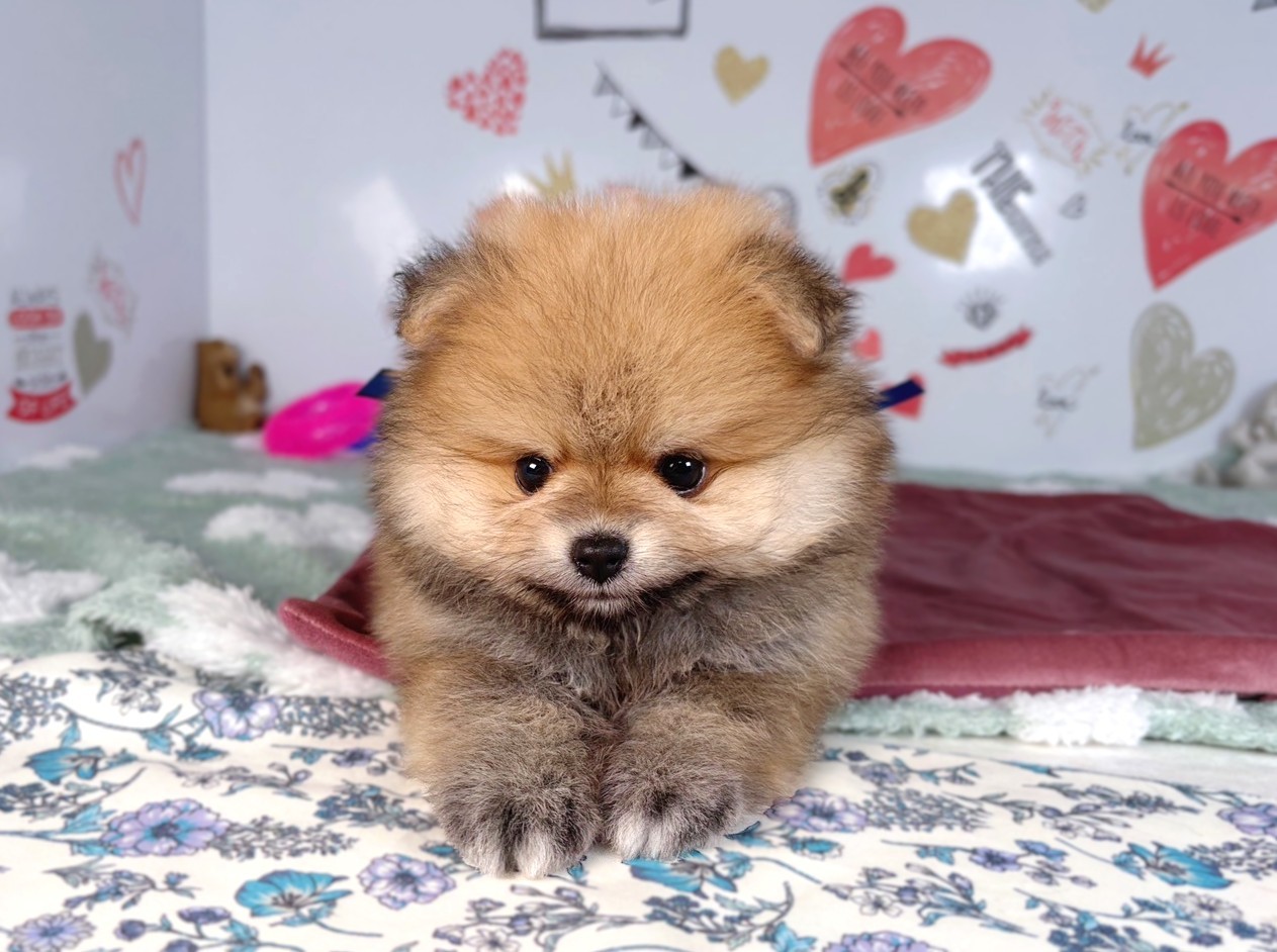赤ちゃん写真2-1