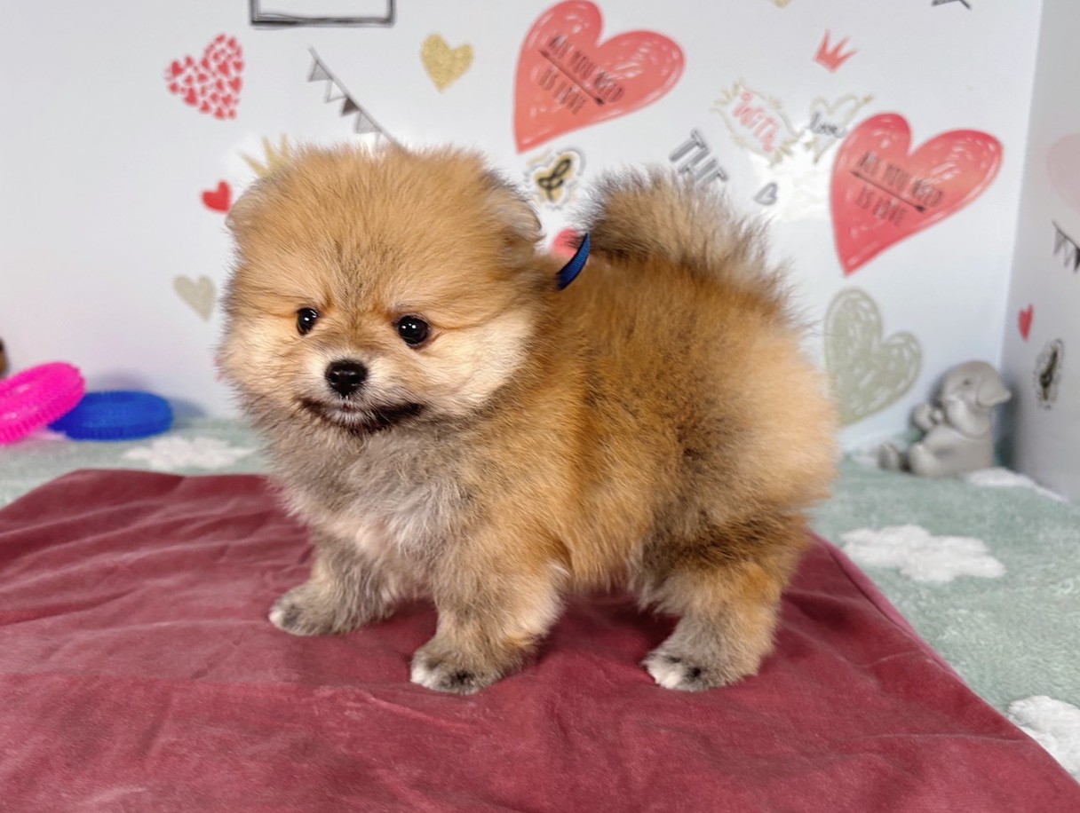 赤ちゃん写真2-2