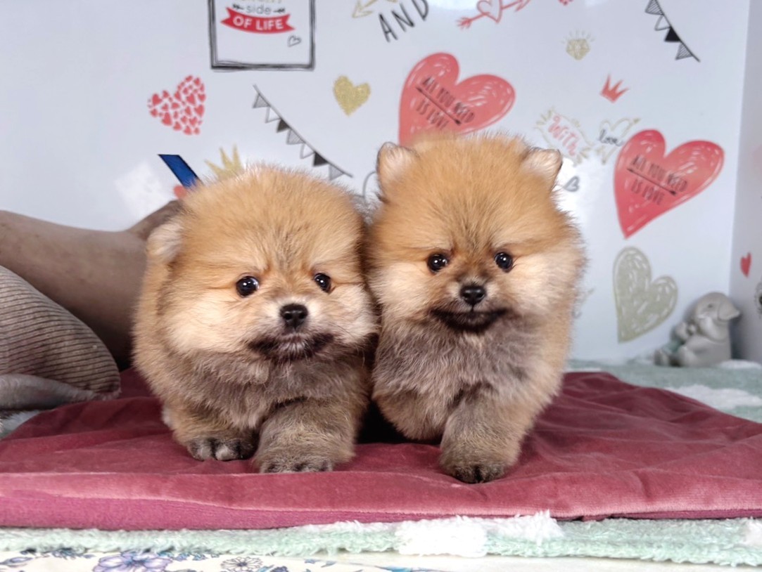 赤ちゃん写真2-3