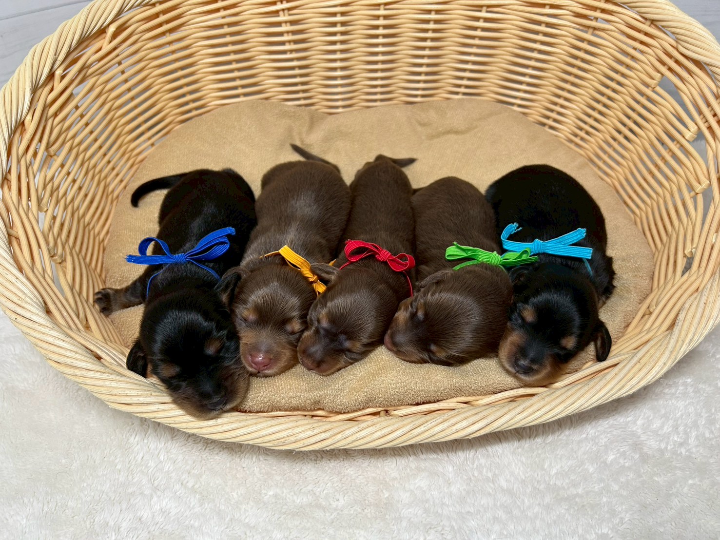 赤ちゃん写真1-3