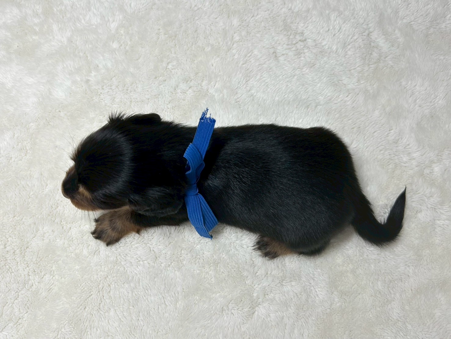 赤ちゃん写真2-3