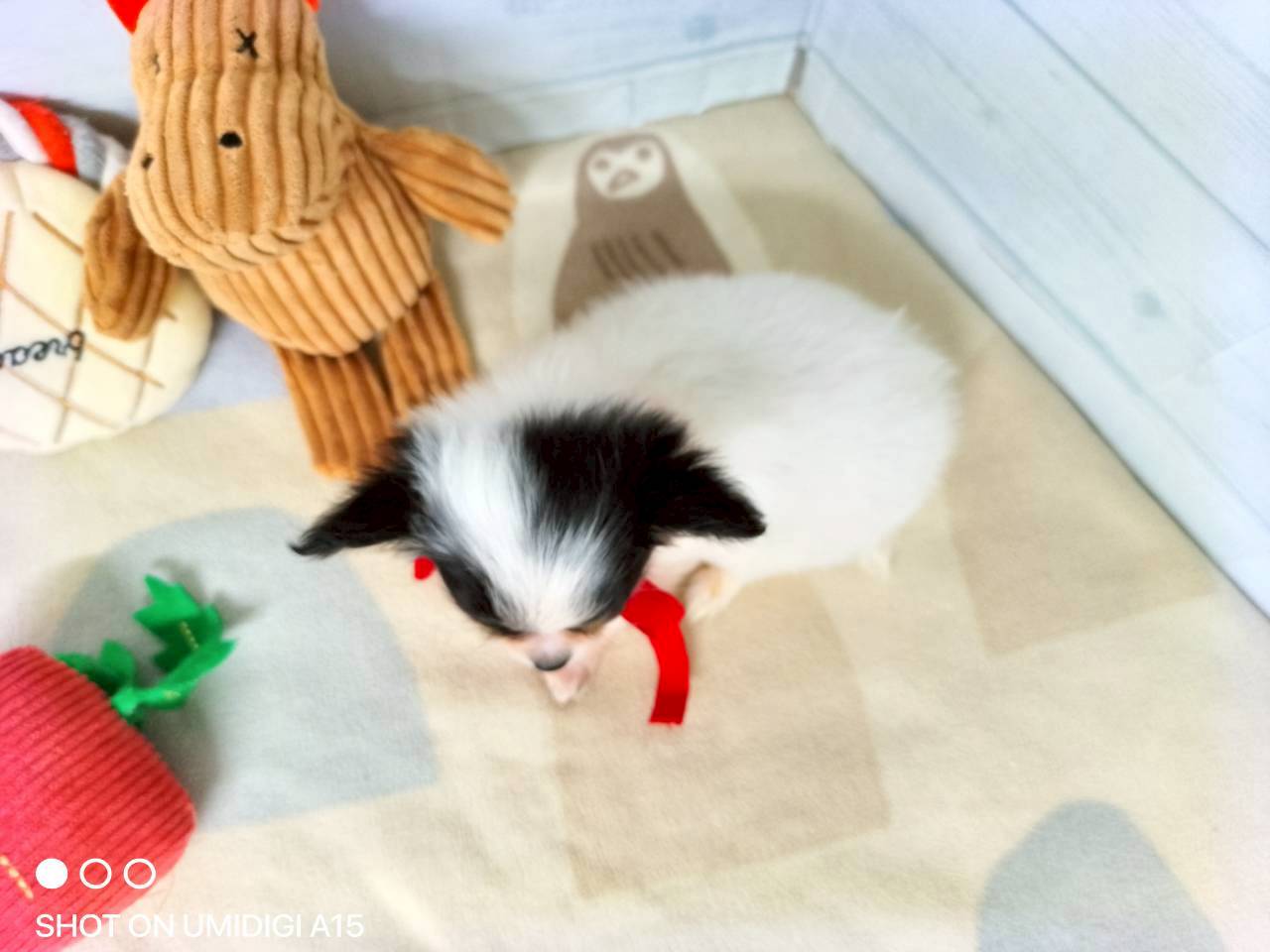 赤ちゃん写真3-3