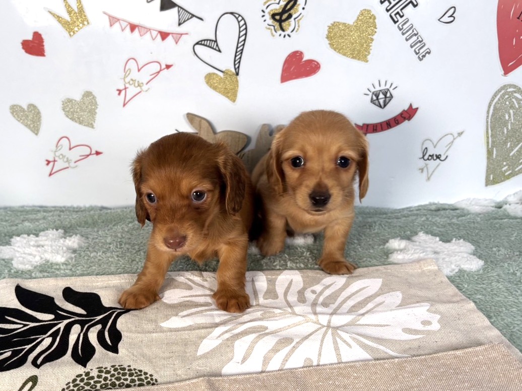 赤ちゃん写真2-3