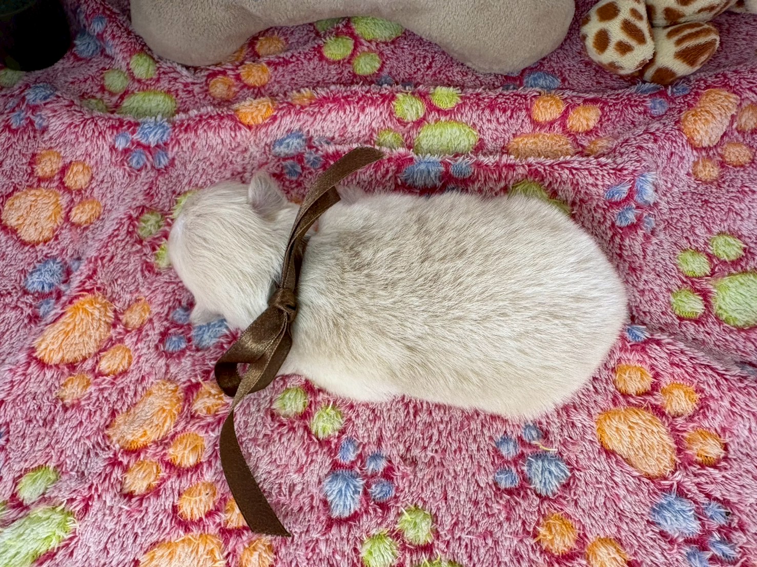 赤ちゃん写真1-3