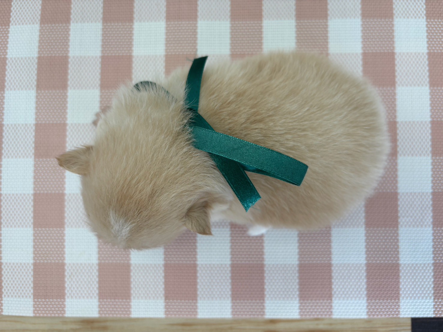 赤ちゃん写真2-3