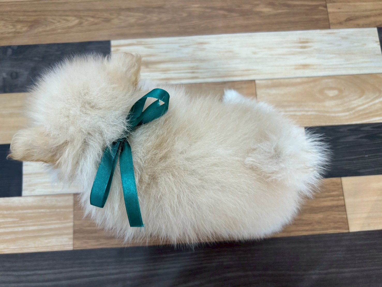 赤ちゃん写真3-3