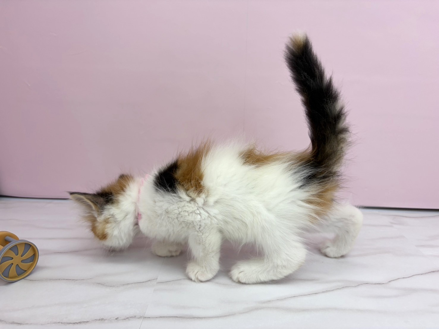赤ちゃん写真2-2