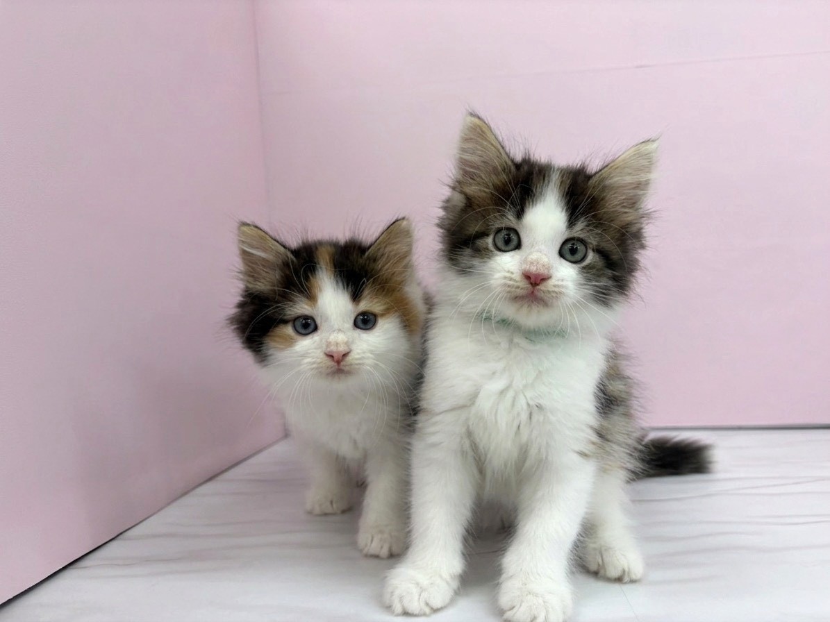 赤ちゃん写真2-3
