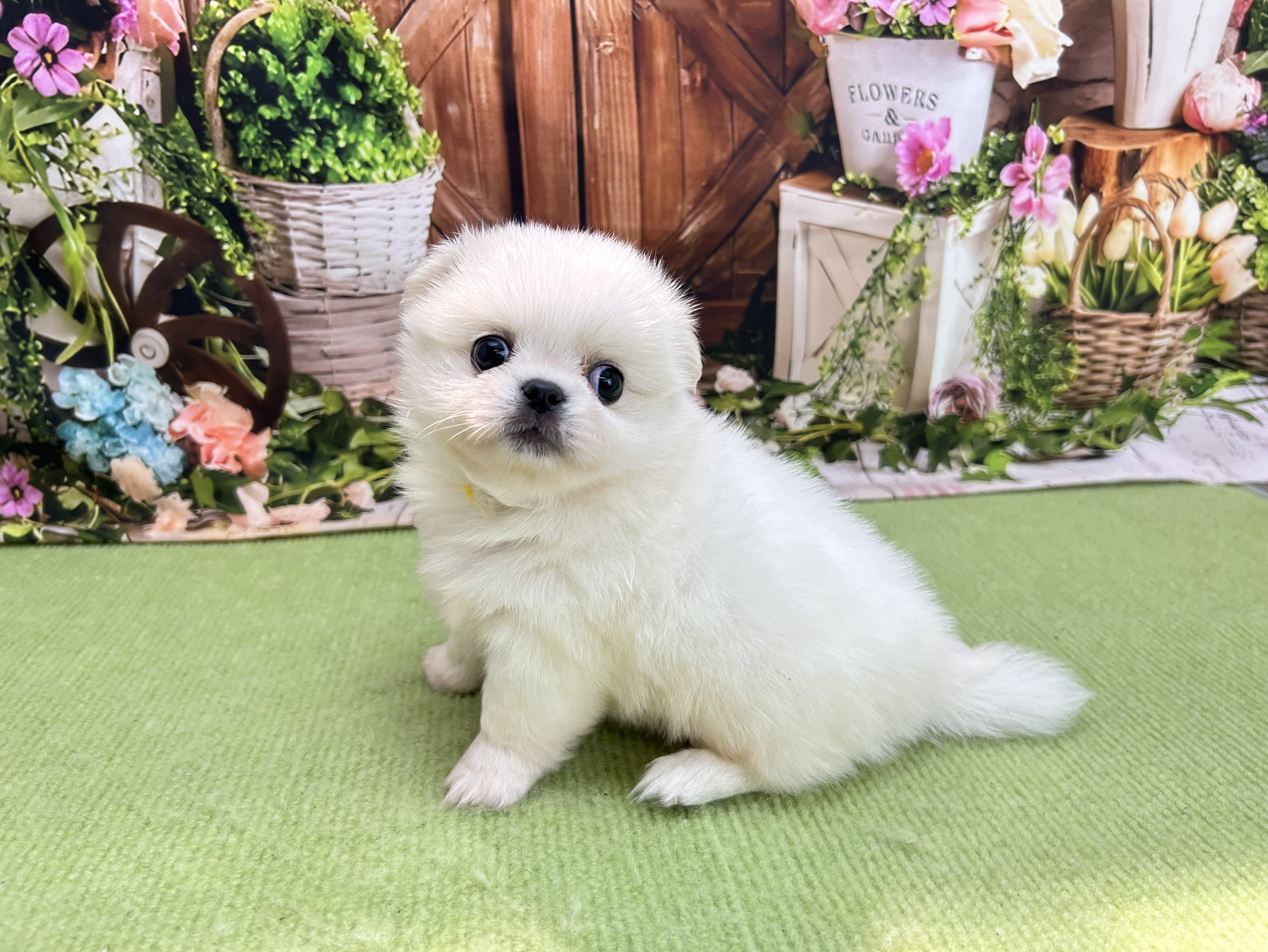 赤ちゃん写真2-2