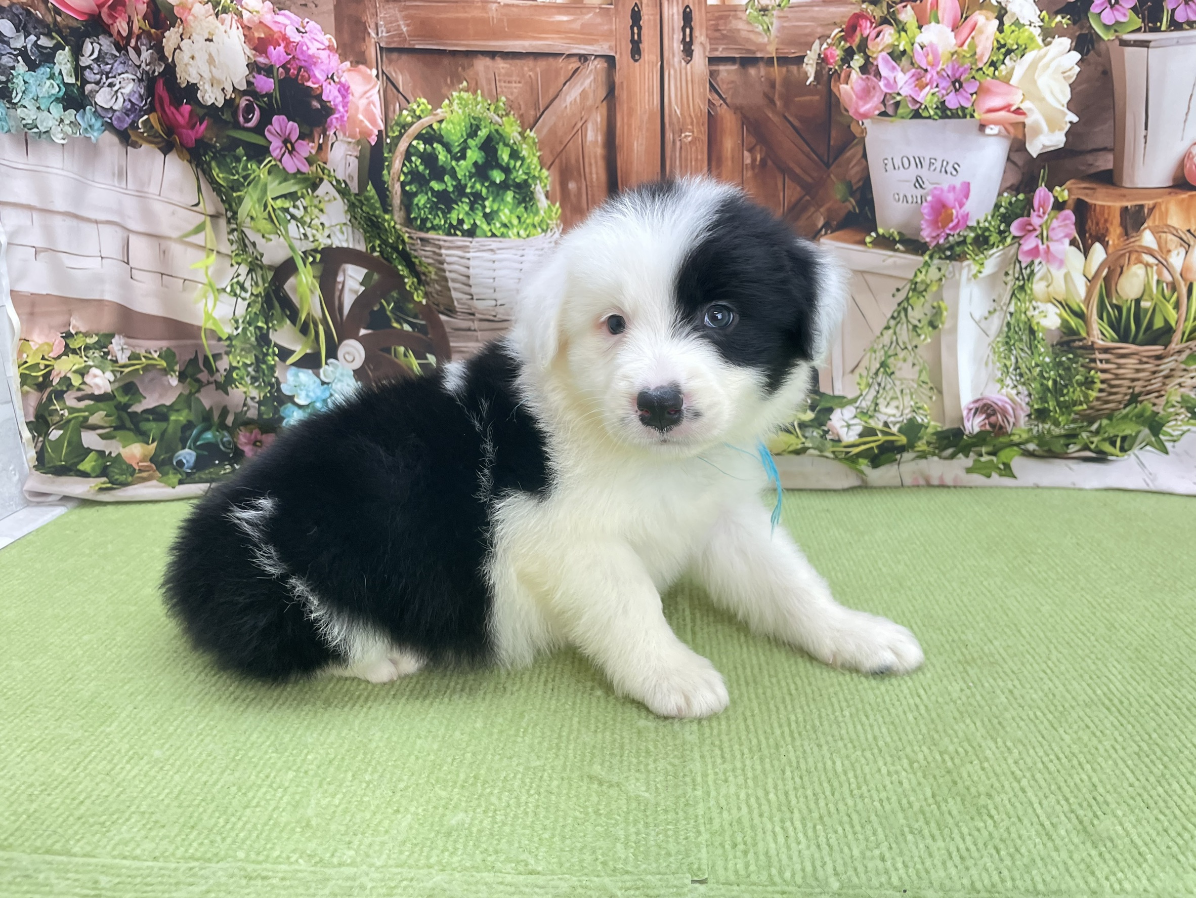赤ちゃん写真2-2