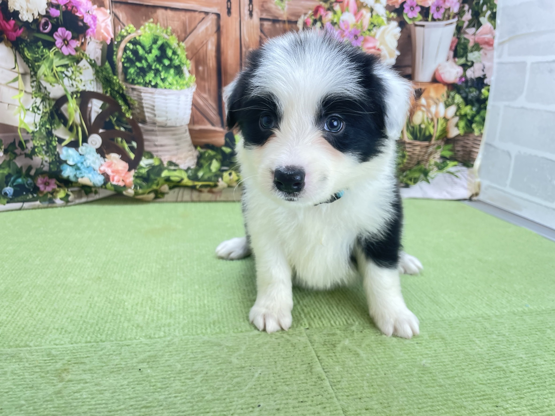赤ちゃん写真2-1