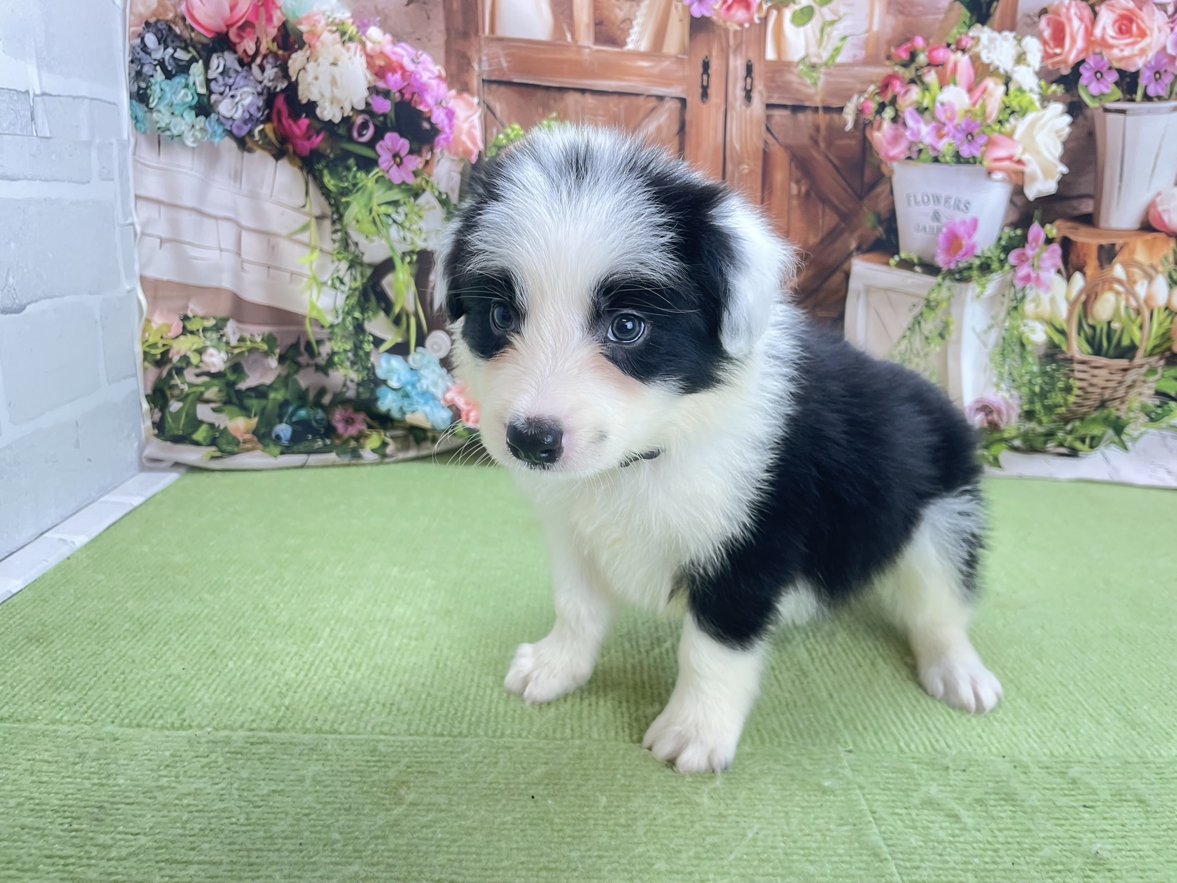赤ちゃん写真2-2