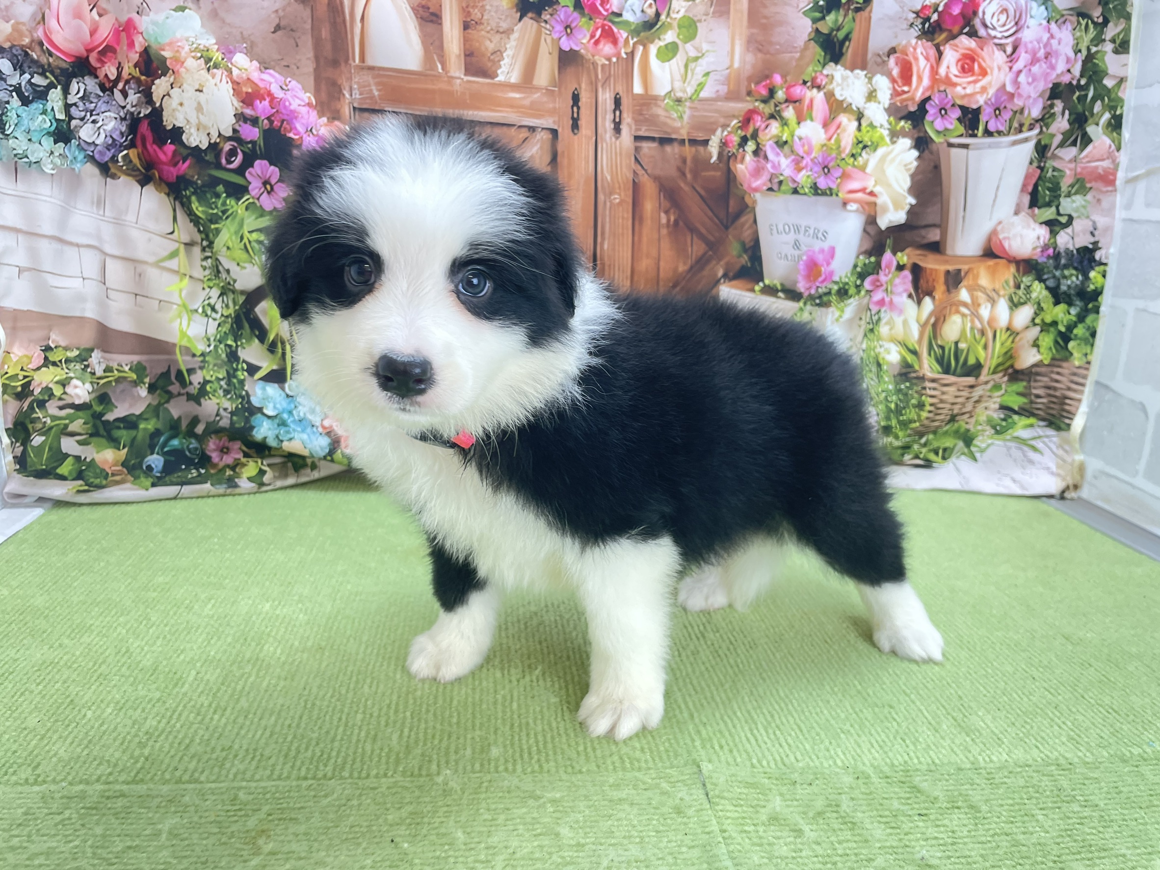 赤ちゃん写真2-2