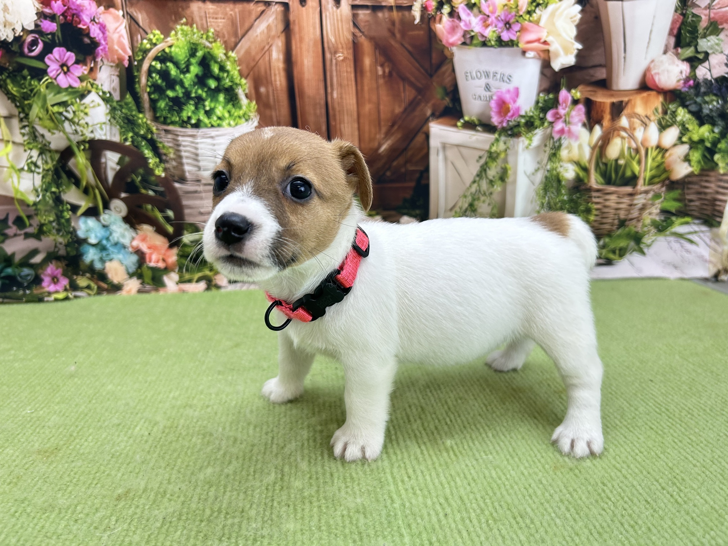 赤ちゃん写真2-2