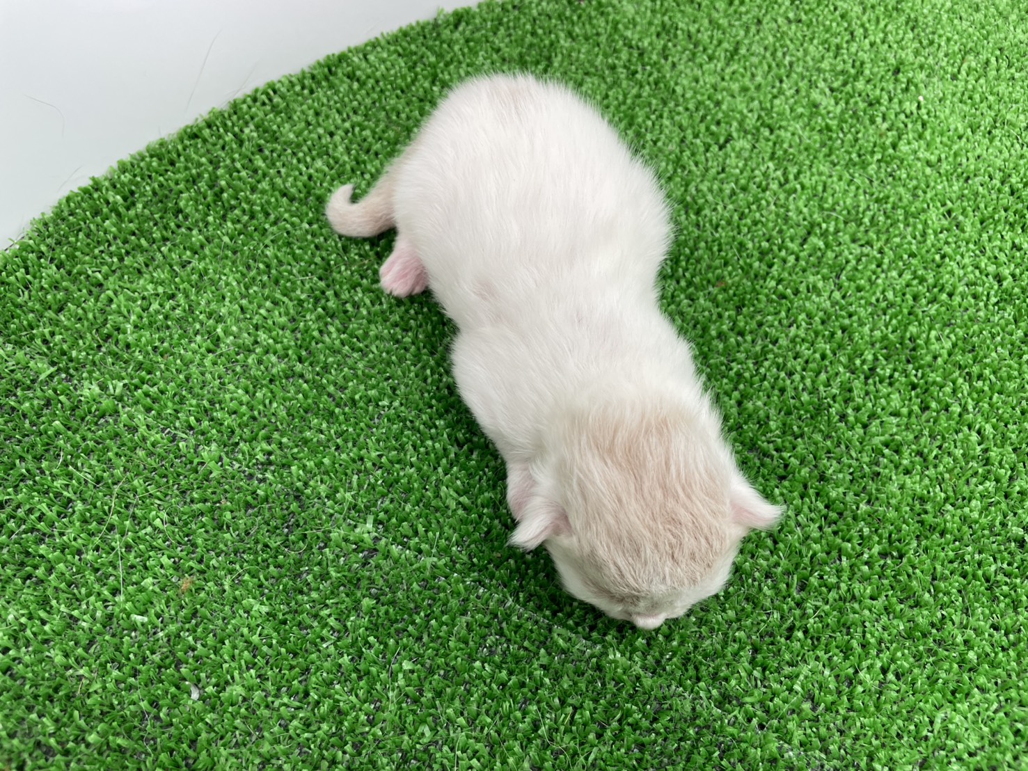 赤ちゃん写真1-3
