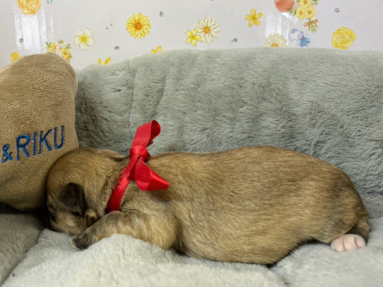 赤ちゃん写真1-2