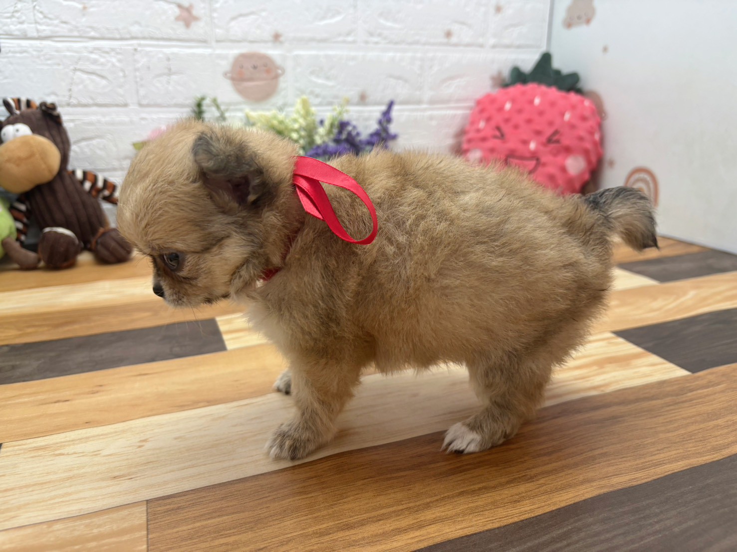 赤ちゃん写真3-2