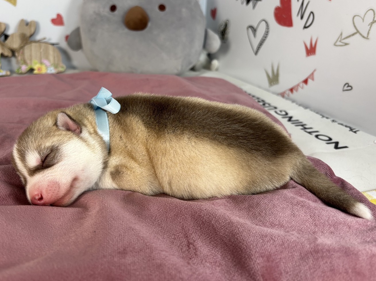 赤ちゃん写真1-2