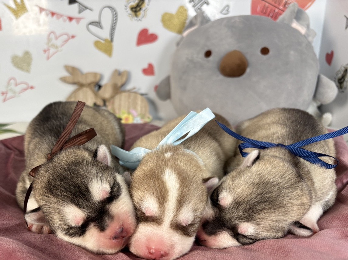 赤ちゃん写真1-3
