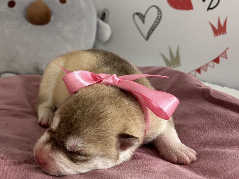 赤ちゃん写真1-1