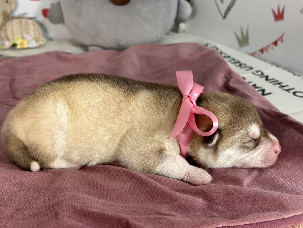 赤ちゃん写真1-2