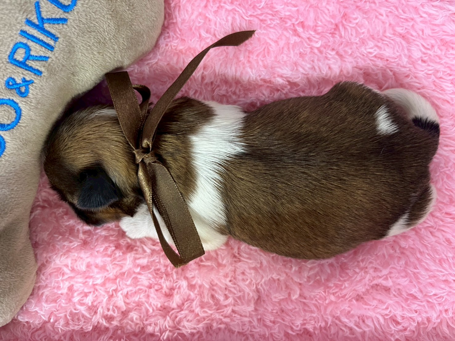 赤ちゃん写真1-3