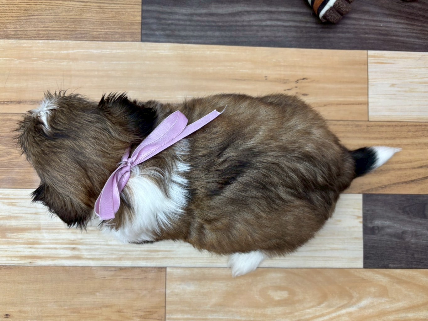 赤ちゃん写真3-3