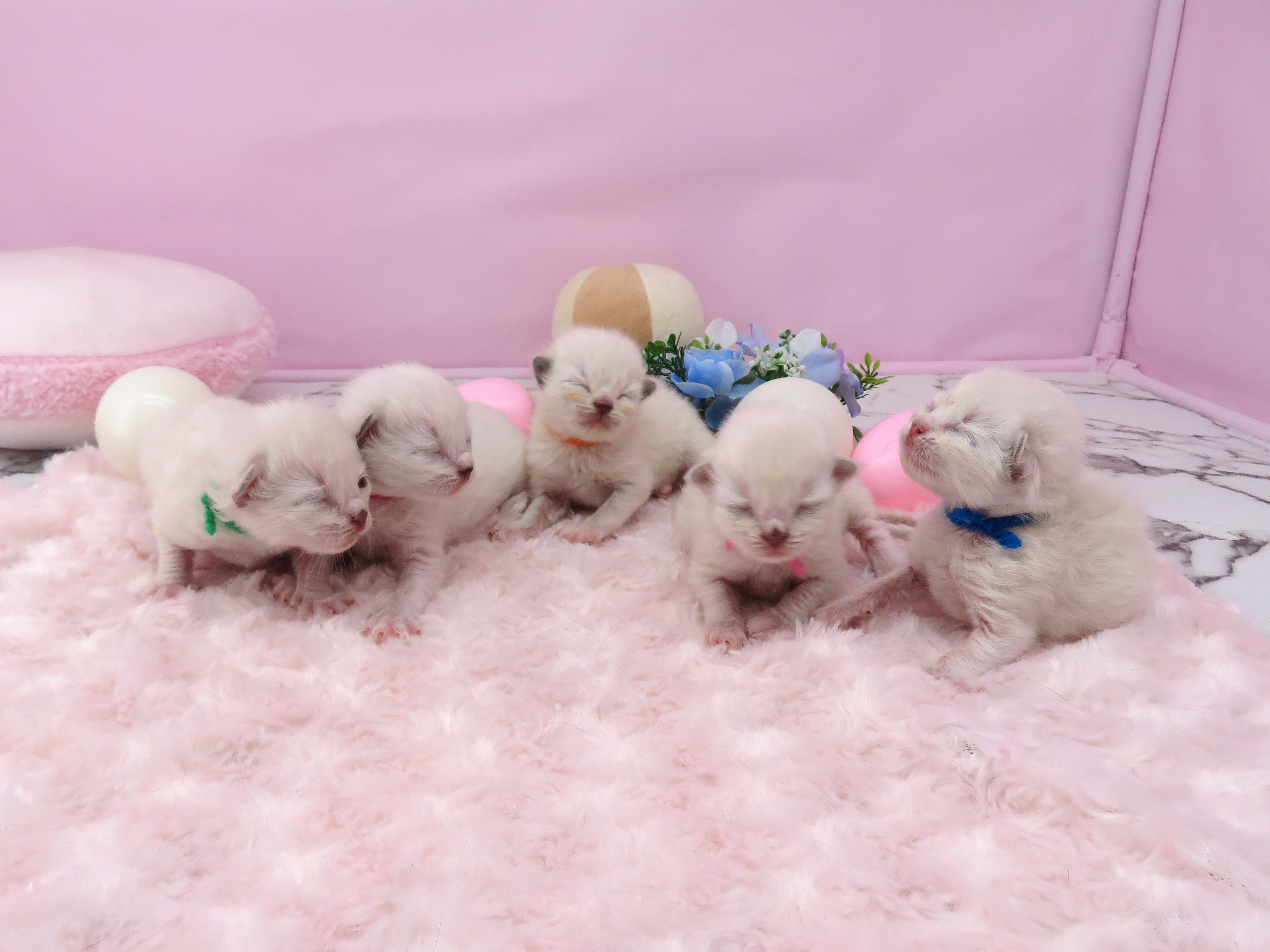 赤ちゃん写真1-3