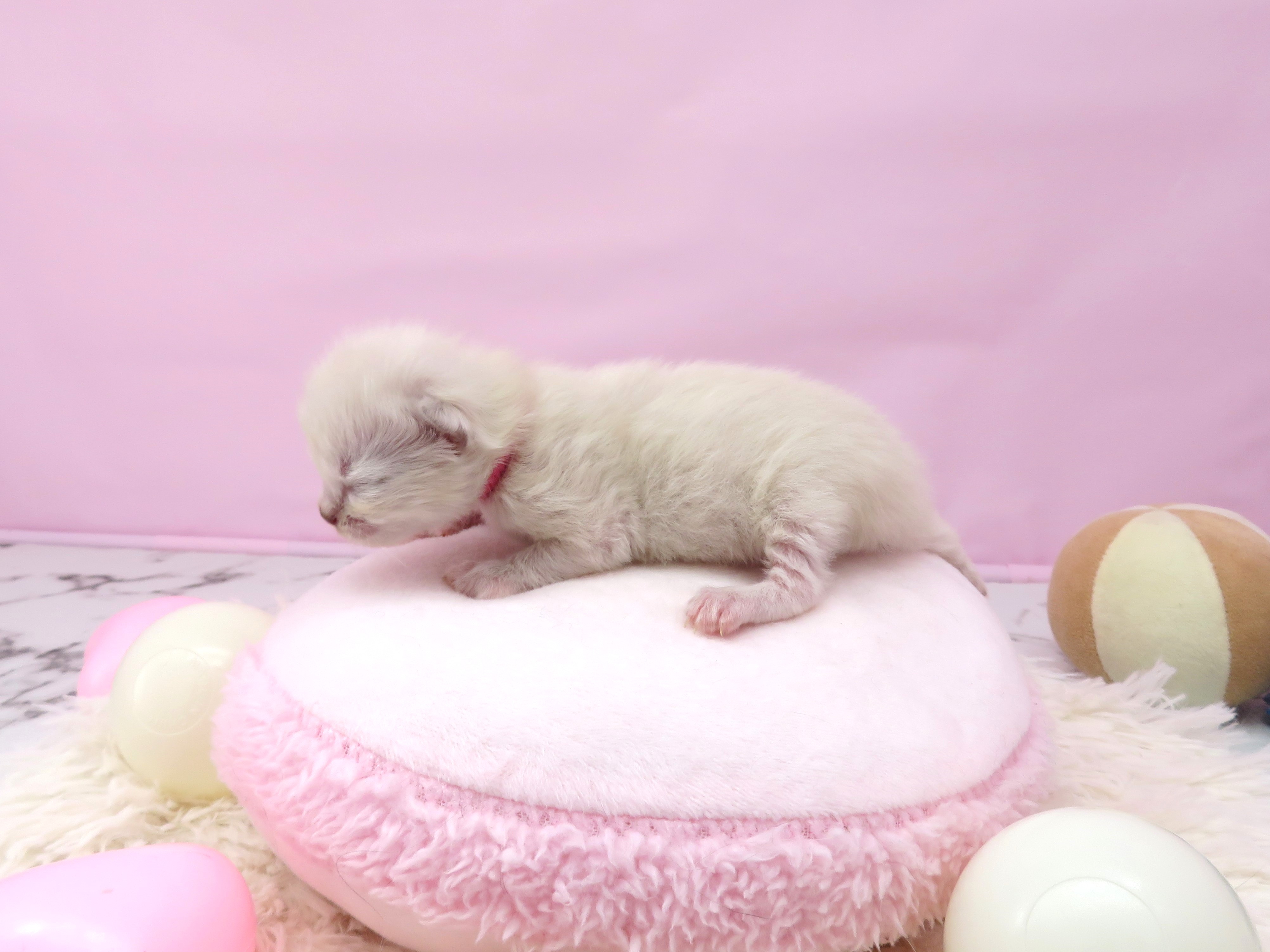 赤ちゃん写真1-2