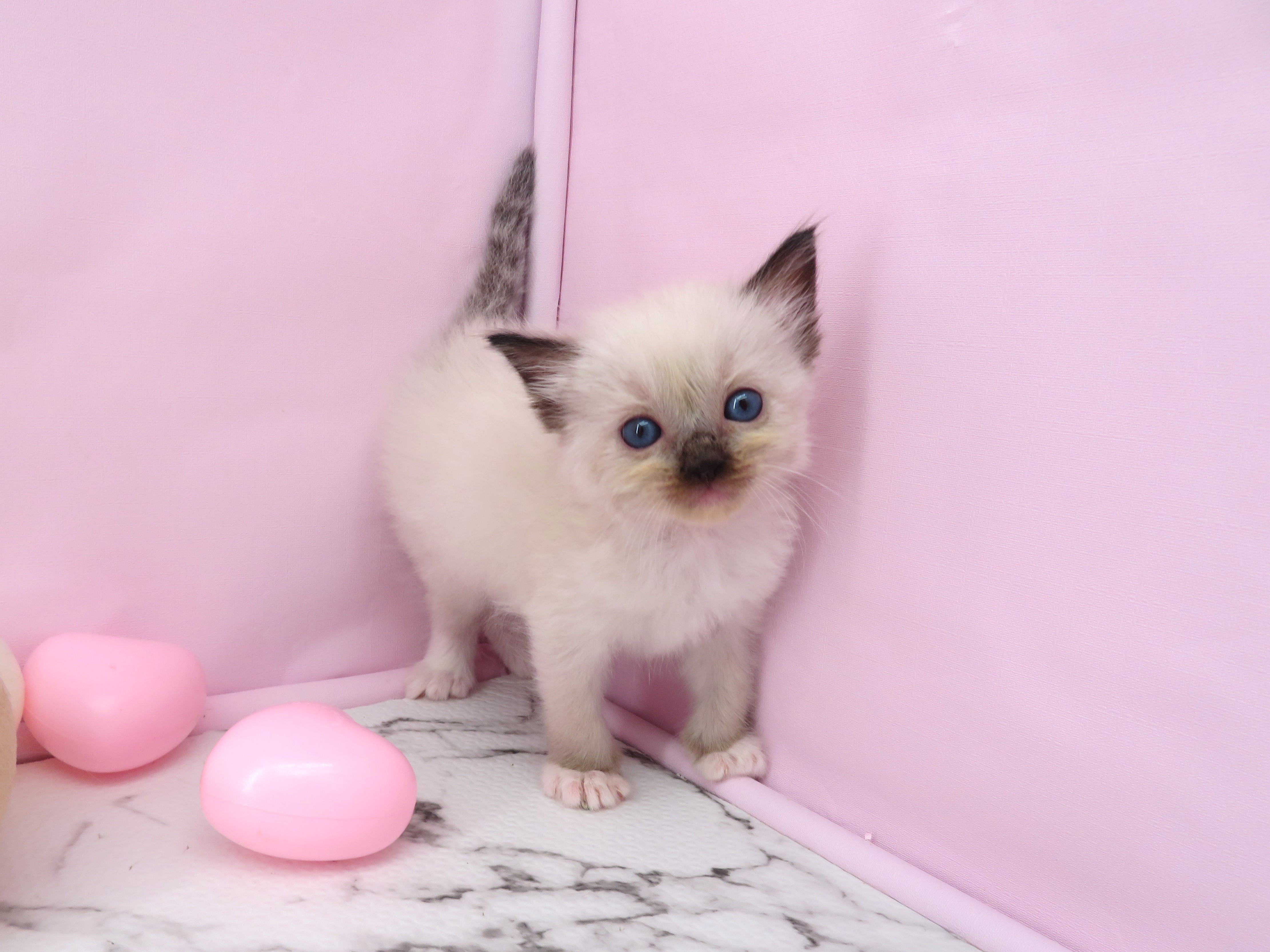 赤ちゃん写真2-1