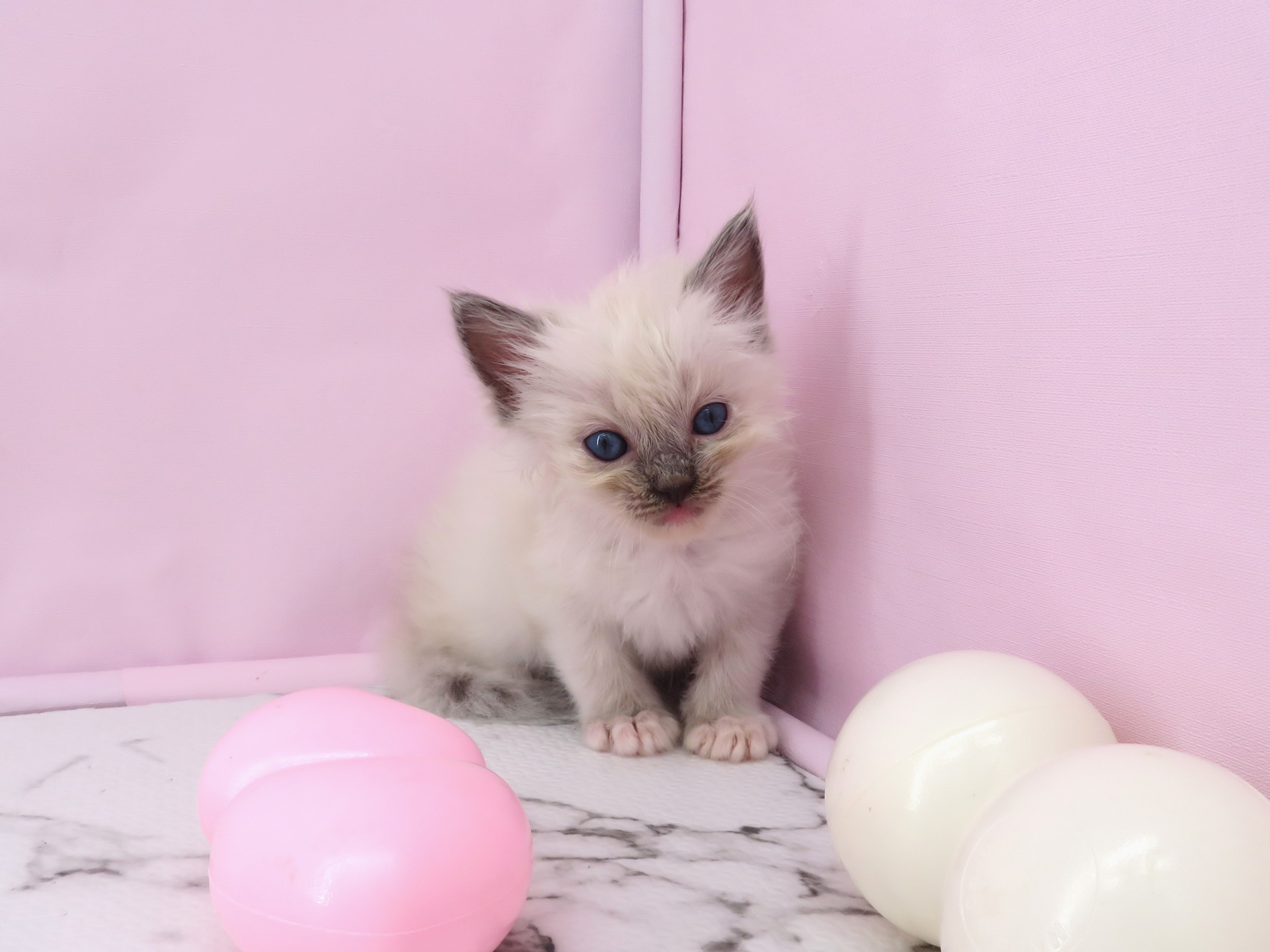 赤ちゃん写真2-1