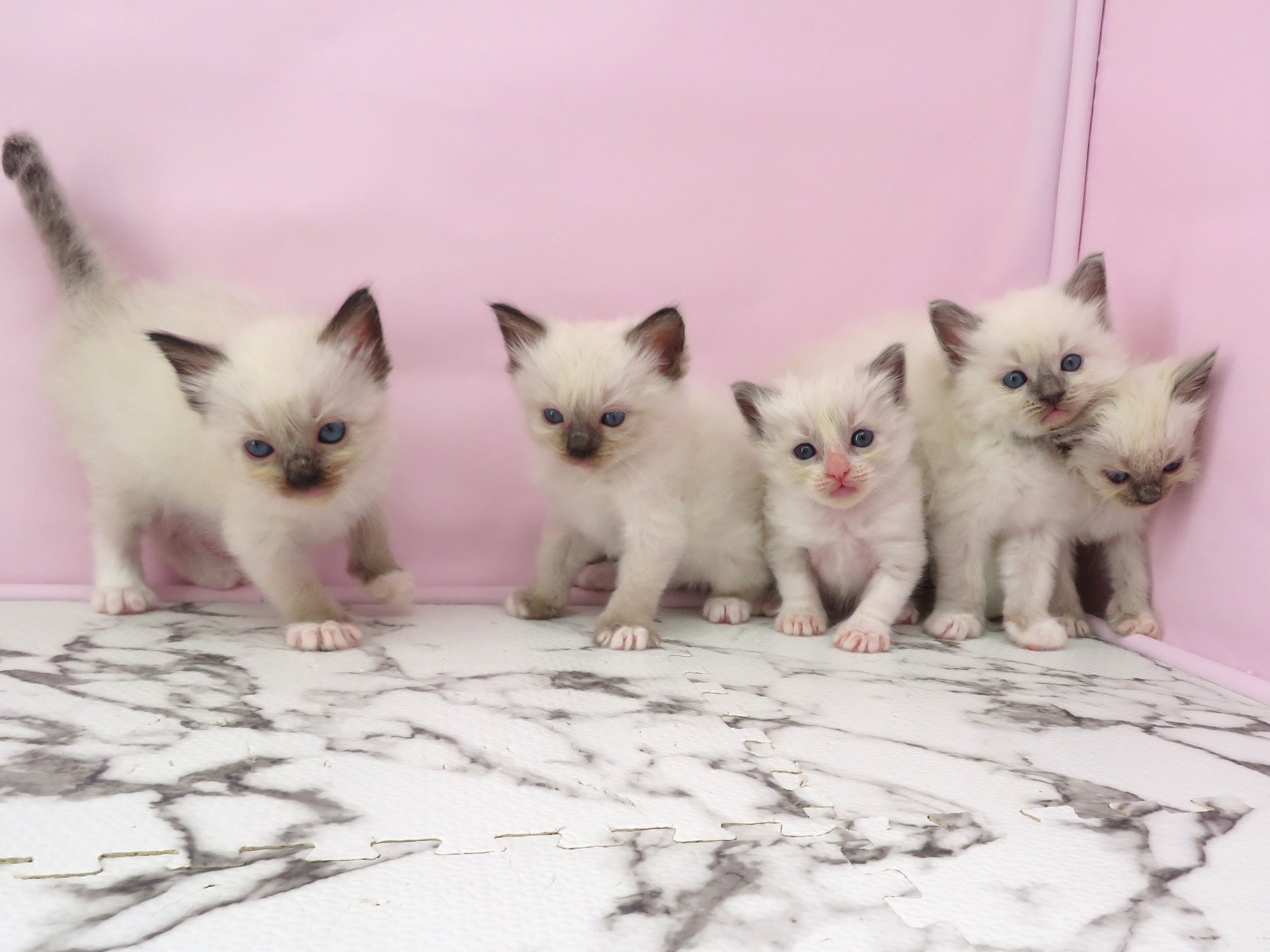 赤ちゃん写真2-3
