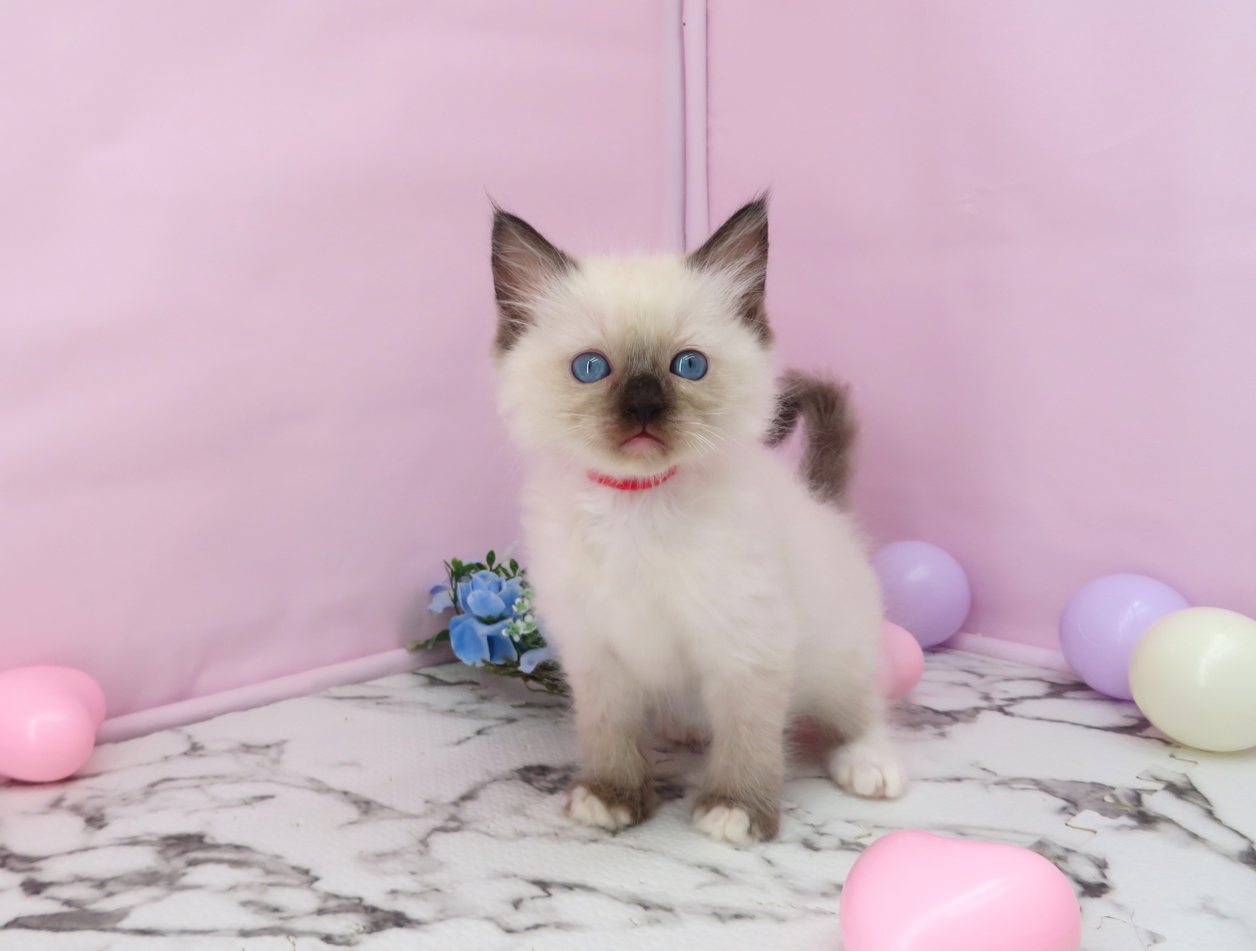 赤ちゃん写真3-1
